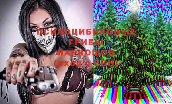 ALPHA PVP Алексин