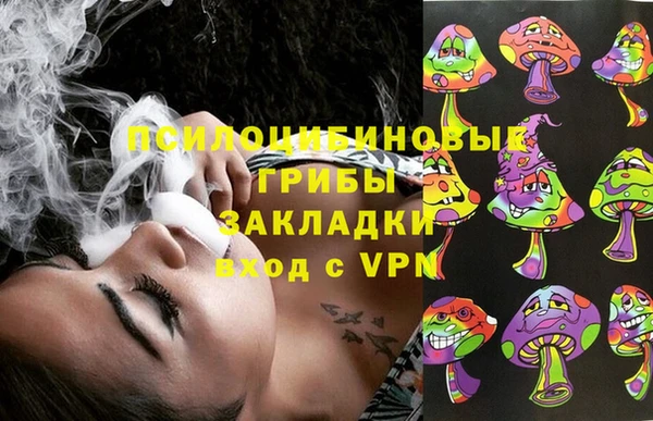 spice Абинск