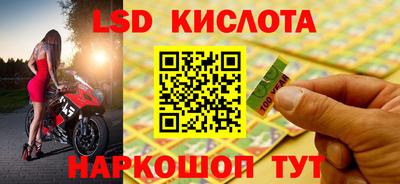 гашик Жуковский
