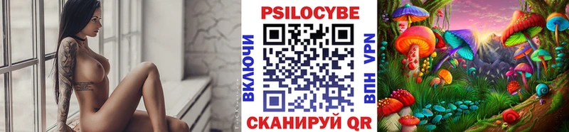 закладка  Нижнекамск  Галлюциногенные грибы GOLDEN TEACHER 