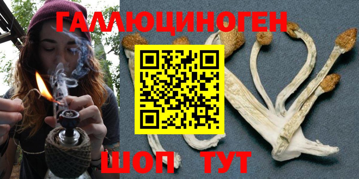 Галлюциногенные грибы Cubensis  Вход с VPN  Псилоцибиновые грибы MAGIC MUSHROOMS  Нижнекамск 